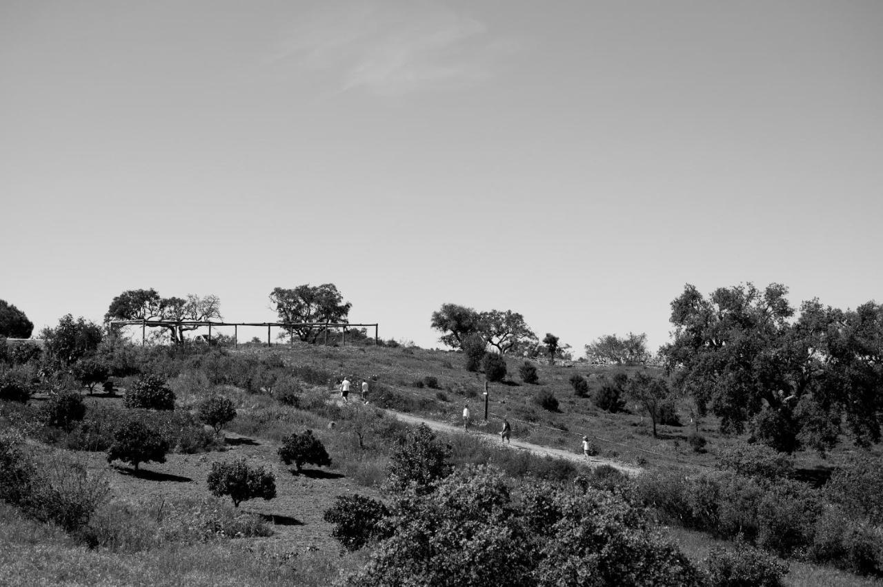 Monte Gois Country House E Spa Curvatos Exterior photo